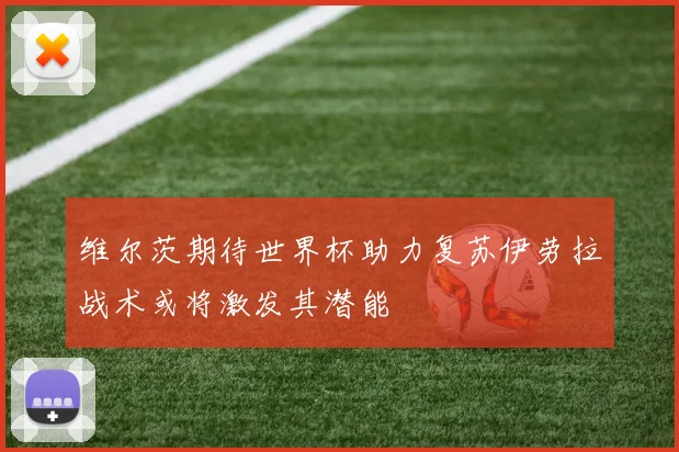 维尔茨期待世界杯助力复苏伊劳拉战术或将激发其潜能